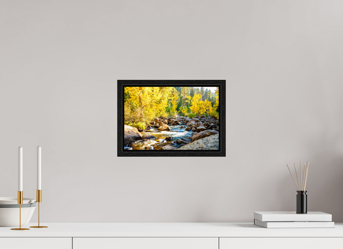 12 x 8″, Floater Frame Golden Current