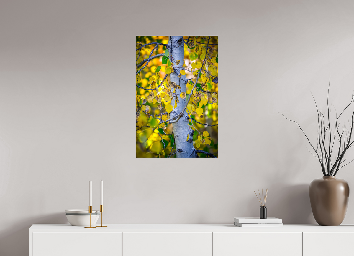 20 x 30″, Photo Print Under Acrylic Glass Aspen in Gold
