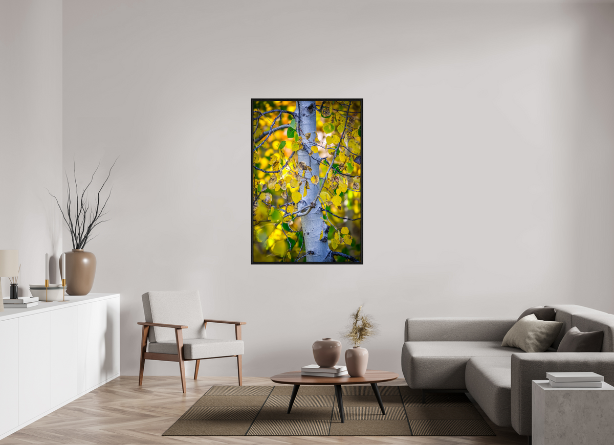 36 x 54″, Floater Frame Aspen in Gold
