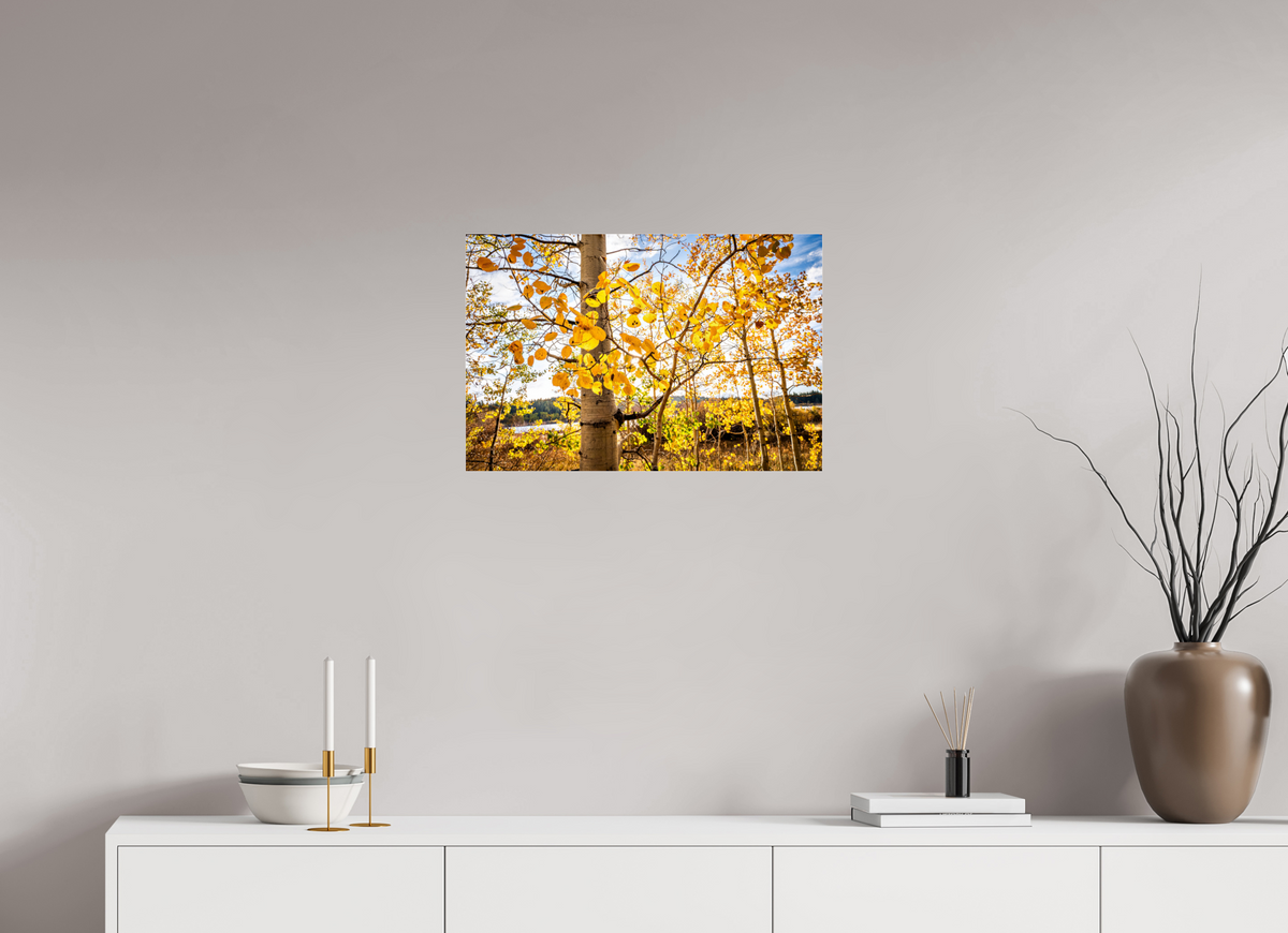 24 x 16″, Photo Print Under Acrylic Glass Golden Canopy