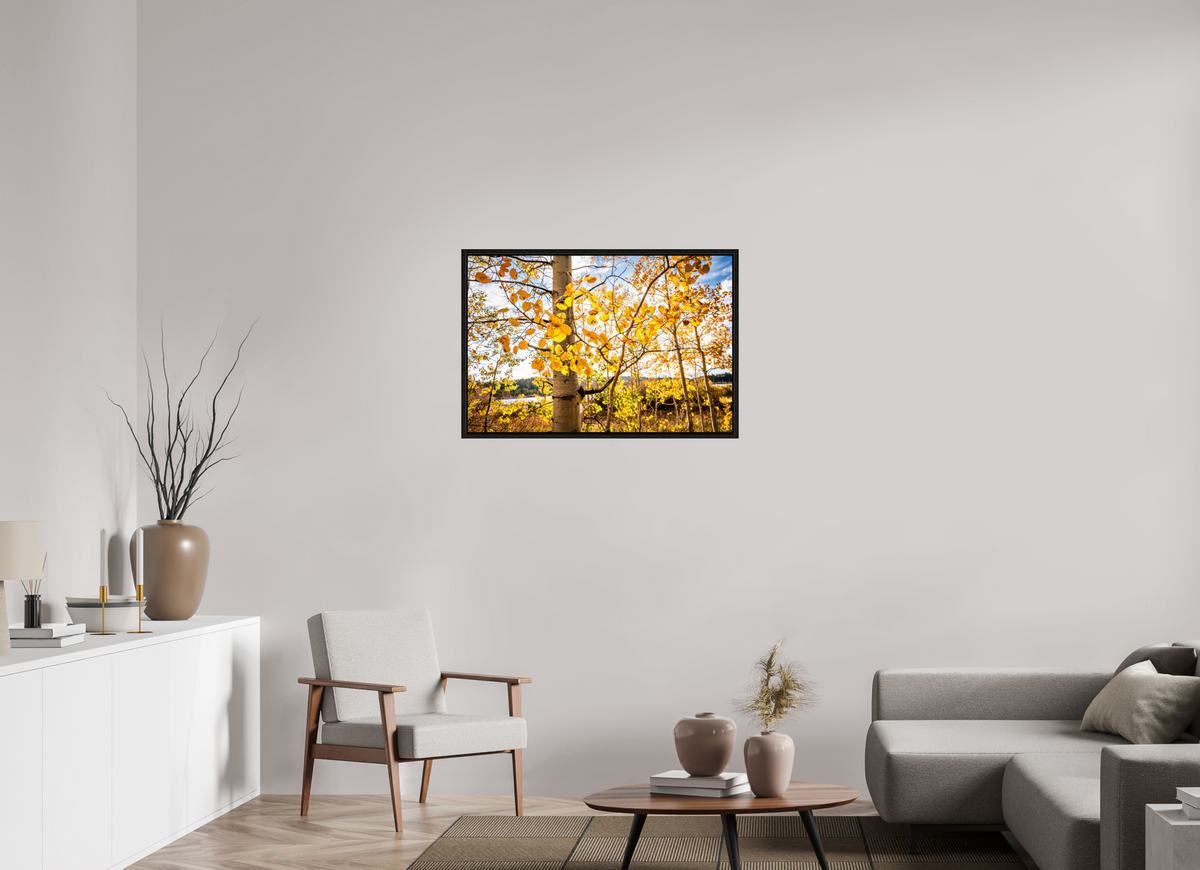 36 x 24″, Floater Frame Golden Canopy