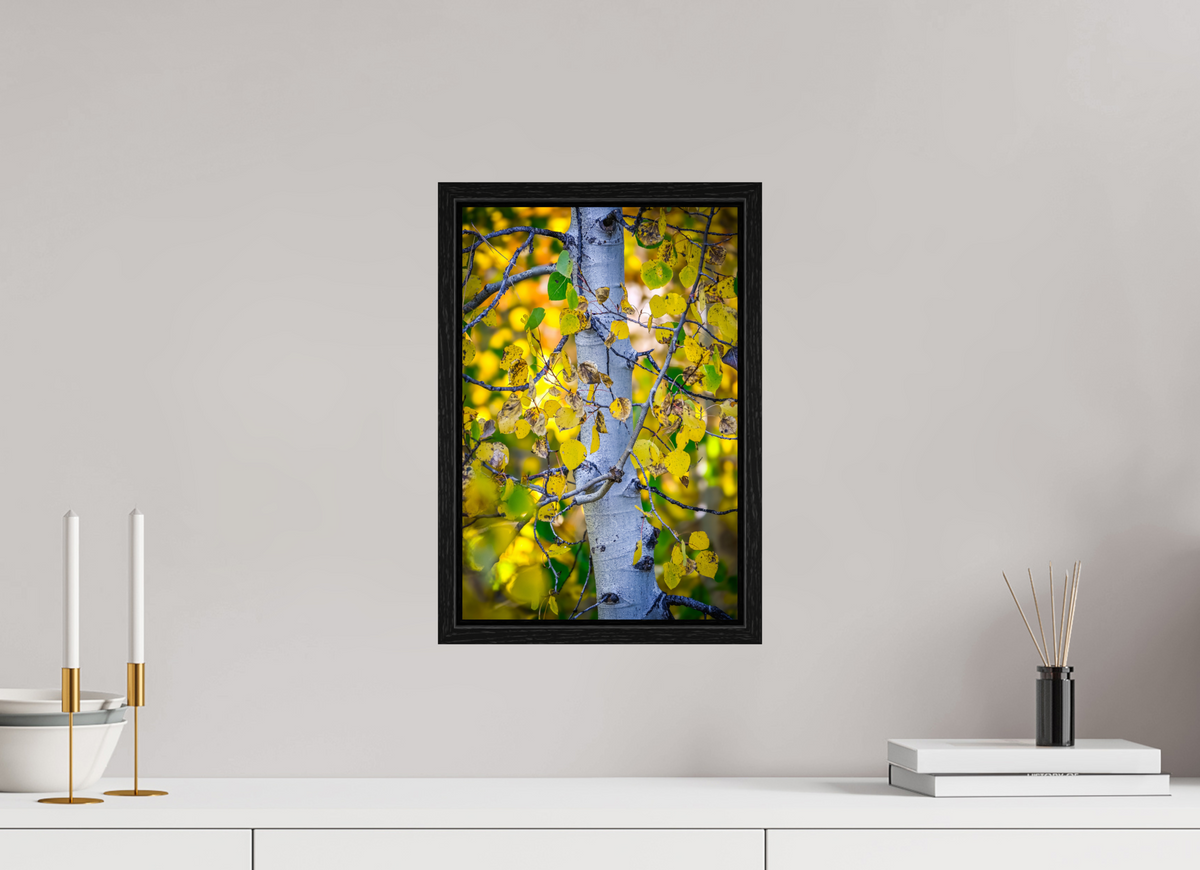 10 x 15″, Floater Frame Aspen in Gold