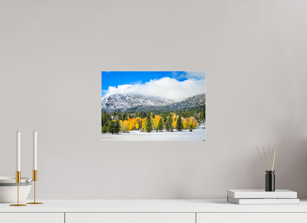 15 x 10″, Photo Print Under Acrylic Glass Between Seasons