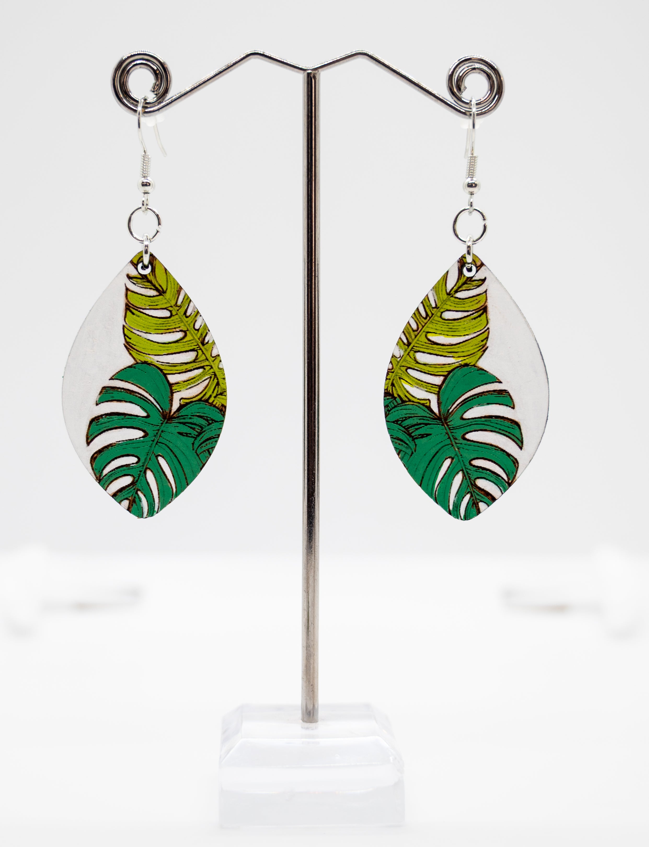 Monstera Plant Power