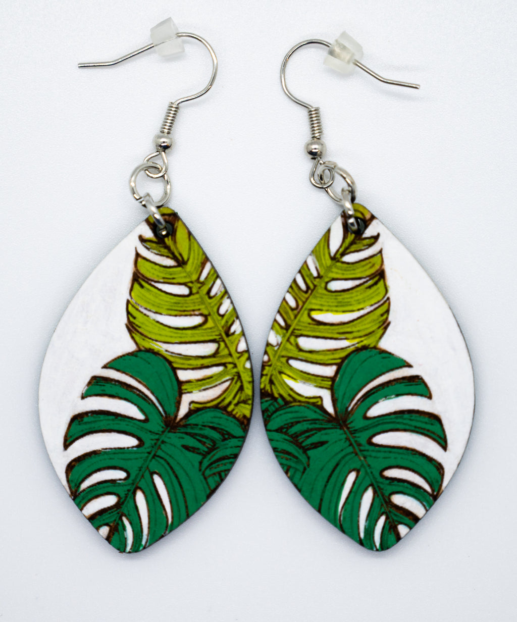 Monstera Plant Power