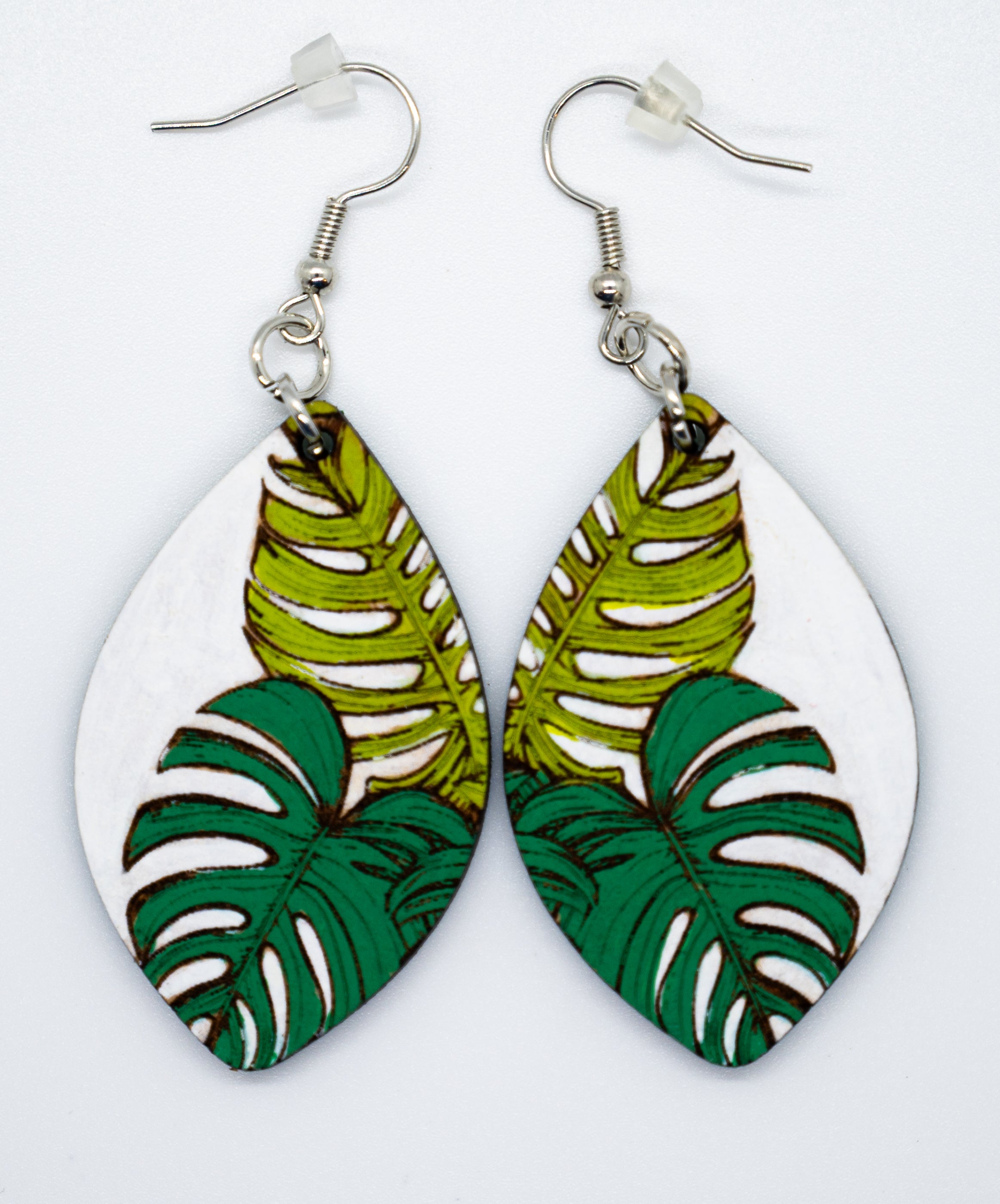 Monstera Plant Power